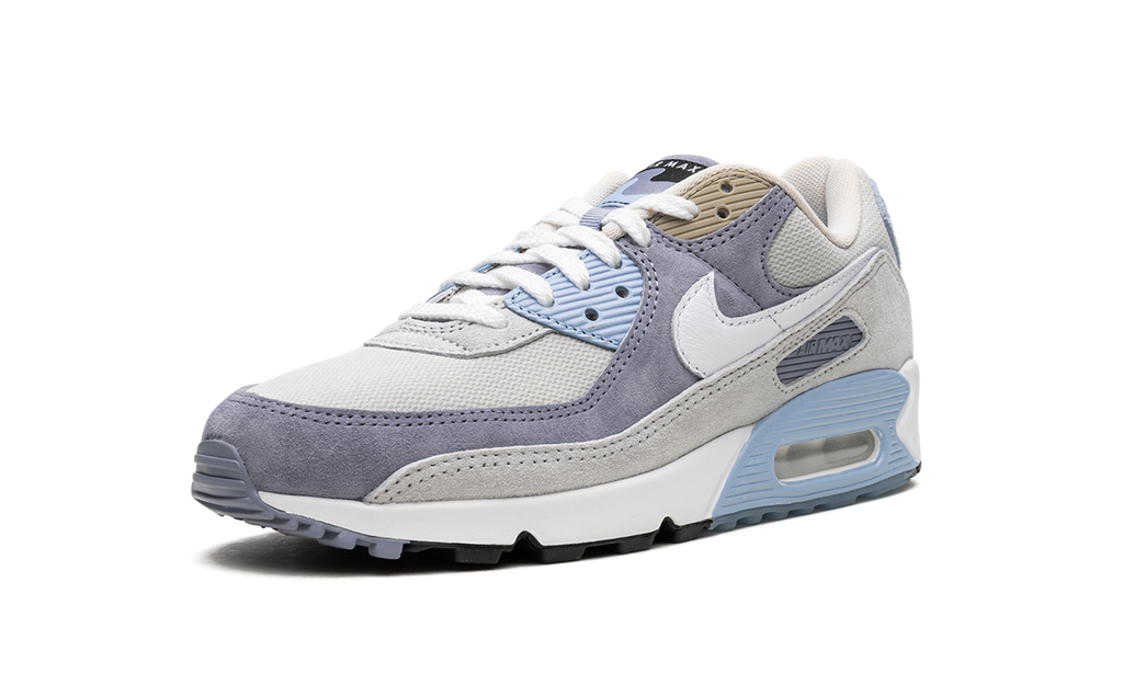 Air Max 90 "Ashen Slate" DM0035 400