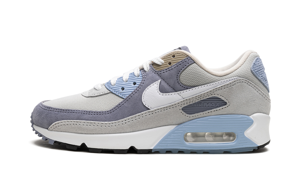 Air Max 90 "Ashen Slate" DM0035 400