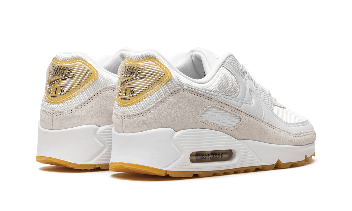 Air Max 90 "Frank Rudy" DV1734 100