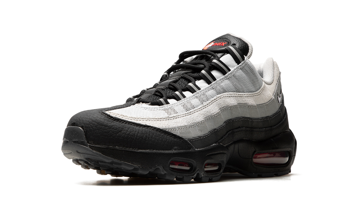 Air Max 95 "Fish Scales" DQ3979 001