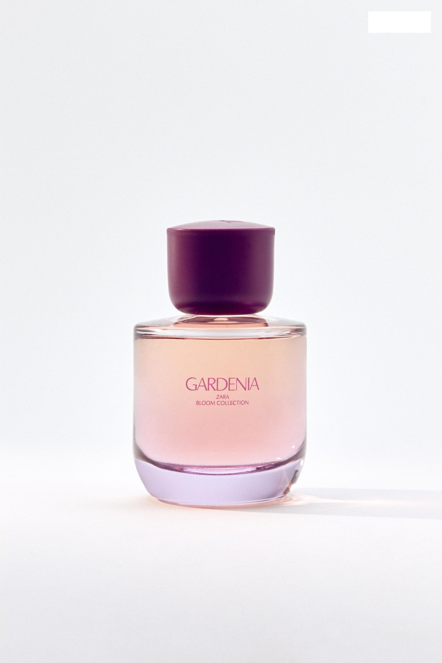 GARDENIA EDP 90 ML (3.04 FL. OZ)