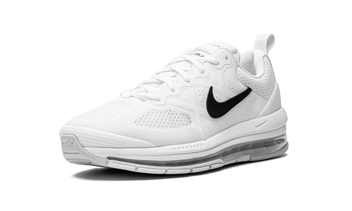 Air Max Genome