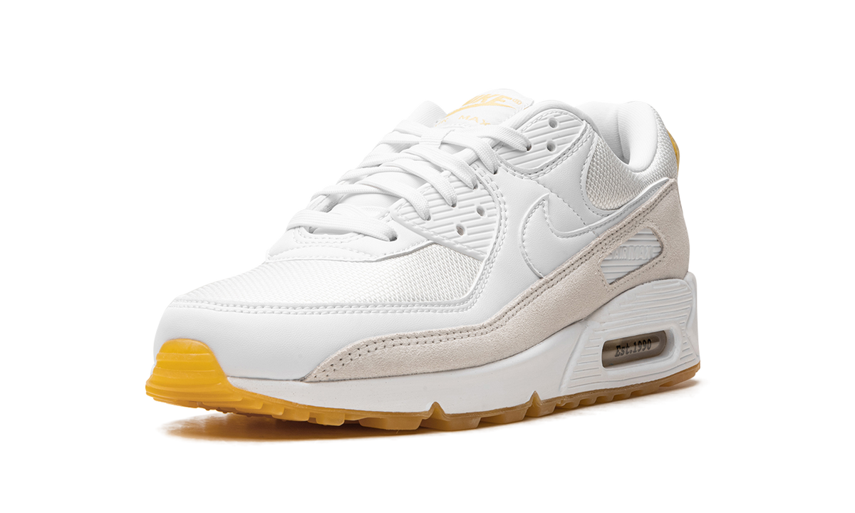 Air Max 90 "Frank Rudy" DV1734 100